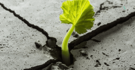 Como Desenvolver Resiliência em Tempos de Adversidade